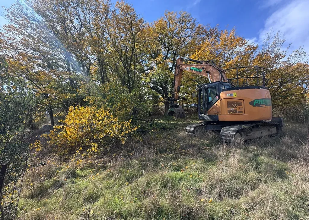 Vegetation Clearing
